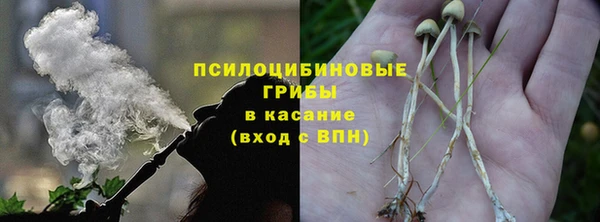 стаф Армянск