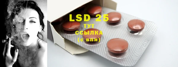 стафф Аркадак
