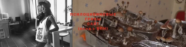 стафф Аркадак