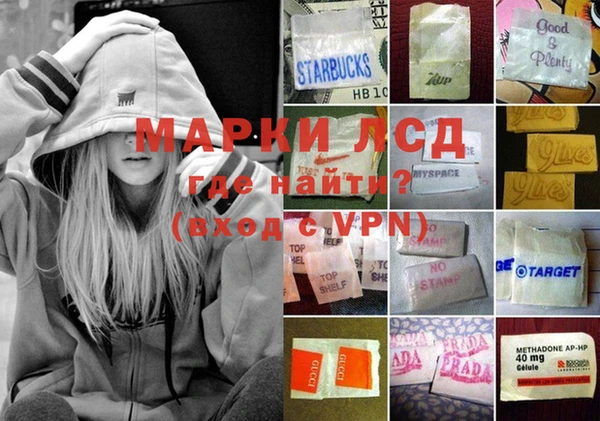 стафф Аркадак