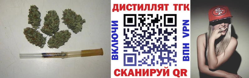 купить наркоту  Богучар  гидра как зайти  ТГК THC oil 