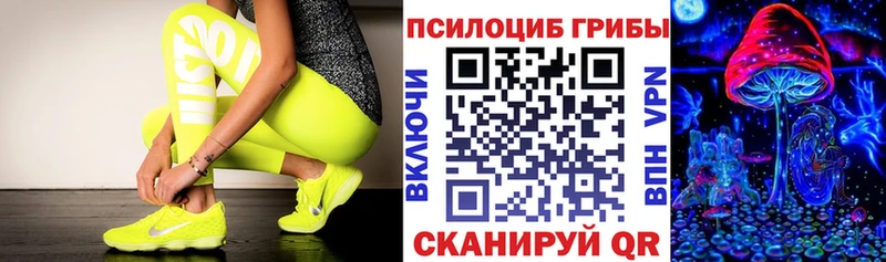 Галлюциногенные грибы Cubensis Богучар